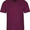 TRIGEMA Comfort Fit T-Shirt V-Ausschnitt Violett,Einfarbig -Bekleidung Rabatt Serie 37203 089 800VN20HVGlpEQef 1200x1200