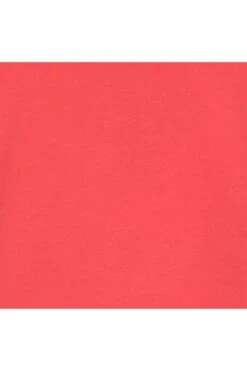 RAGMAN Regular Fit T-Shirt Rundhals Hummer,Einfarbig -Bekleidung Rabatt Serie 403080 662 3 800 1200x1200